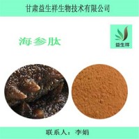 海参肽98% 小分子低聚肽 一公斤起订