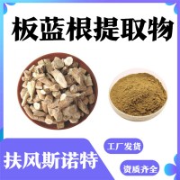 板蓝根提取物 工厂发货 板蓝根浸膏 规格10:1