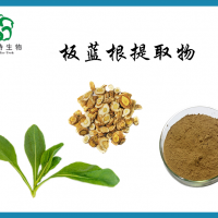 批发板蓝根提取物 10:1   水溶板蓝根粉