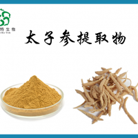 太子参提取物  水溶太子参粉 多规格可定制  斯诺特厂家供应