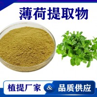 薄荷提取物 水溶性薄荷粉薄荷速溶粉 斯诺特生物