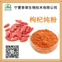 红枸杞粉供应价格 宁夏中宁枸杞浓缩粉厂家批发