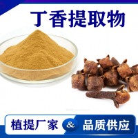 丁香提取物 水溶性丁香粉丁香速溶粉 斯诺特生物