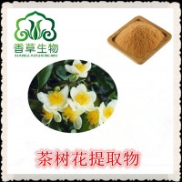 茶树花提取物 茶树花粉批发价 茶树籽浓缩浸膏粉 茶树花提取液