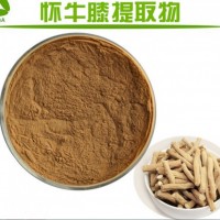 怀牛膝提取物 浸膏 浓缩液 供应川牛膝粉厂家 牛膝多糖批发价
