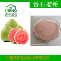 番石榴提取物 速溶番石榴粉 番石榴果汁粉 芭乐果浓缩汁 原液