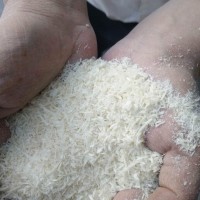 供应面包糠生产设备