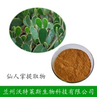 食用仙人掌 植物提取物 仙人掌提取物 现货供应