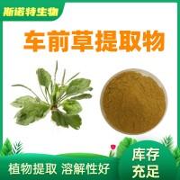 车前草提取物 车前草粉10:1规格 现货