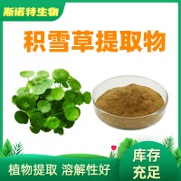 积雪草提取物10:1 Gotu Kola Extract