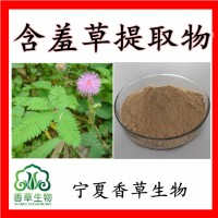 含羞草提取物含羞草粉100目 含羞草提取液 怕羞草提取物