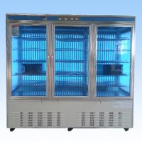 RG-2000系列智能人工气候箱