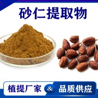 砂仁提取物 厂家供应水溶性砂仁粉 药食同源