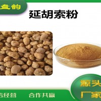 延胡索速溶粉 延胡索粉 水溶性好
