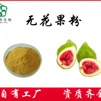 无花果粉   无花果浓缩速溶粉  斯诺特生物大量供应