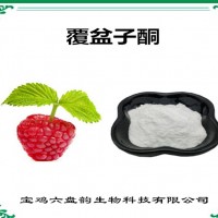 覆盆子提取物 覆盆子酮 生产厂家