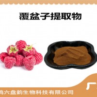 覆盆子提取物 覆盆子粉 药食同源原料