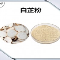 白芷速溶粉 白芷粉 植物提取物原料