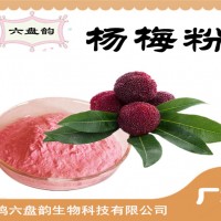 杨梅粉 杨梅果粉 固体饮料原料