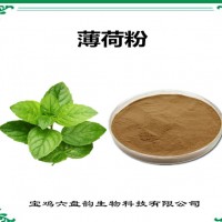 薄荷速溶粉 薄荷粉 食品原料