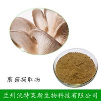 蘑菇提取物 双孢蘑菇粉  蘑菇多肽 包邮