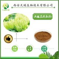 山银花提取物厂家 现货供应