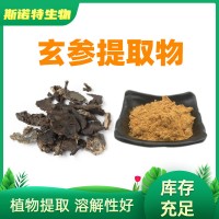 玄参提取物 水溶元参提取物 生产厂家供应
