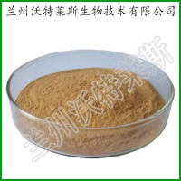 青稞 植物提取物 青稞提取物