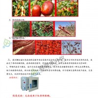 特区质量红枣水分仪全国联保