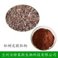 松树皮提取物 95%原植物花青素
