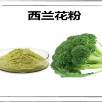西兰花速溶粉 水溶性原料 西兰花粉 西蓝花粉