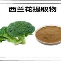 西兰花提取物 食品原料 西兰花粉
