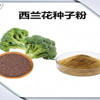 西兰花种子速溶粉 水溶性原料 西兰花种子粉