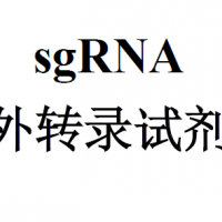 sgRNA体外转录试剂盒