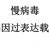 慢病毒基因过表达载体