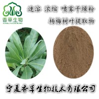杨梅叶提取物黄酮10:1杨梅树叶粉80目 杨梅树皮提取物