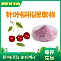 针叶樱桃提取物 含17%VC 樱桃粉 vc粉 现货供应