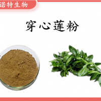 穿心莲粉 穿心莲提取物 穿心莲内脂 规格多  斯诺特大量库存