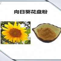 向日葵花盘速溶粉 水溶性向日葵花盘粉 植物提取原料