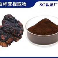 白桦茸提取物 喷雾干燥白桦茸粉 白桦茸多糖