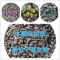 刺楸树皮提取物刺楸树皮浓缩粉刺楸树皮浸膏