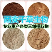 厚朴花天然浓缩流浸膏 厂家生产可按需定制不限量
