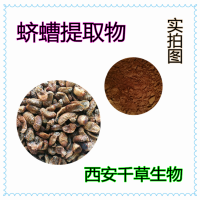水溶性蛴螬提取物蛴螬粉 厂家供应多规格蛴螬浓缩原液