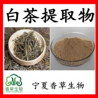 白茶提取物白茶粉80-100目 白茶速溶粉 白茶浸膏粉