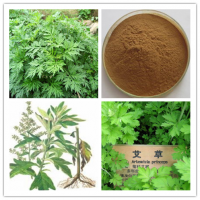 艾叶提取物现货艾草粉
