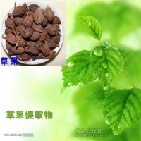 草果粉厂家供应