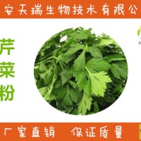 喷雾干燥 蔬菜粉 芹菜粉 速溶 冲调固体饮料
