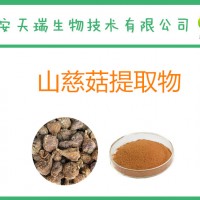 山慈菇提取物10:1 金灯花提取物 鹿蹄草提取物 全水溶
