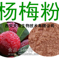 杨梅果粉  杨梅浓缩萃取