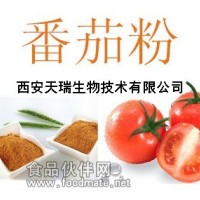番茄提取物 5%番茄红素 食品级